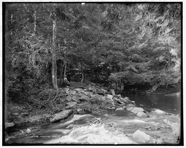 Paradise Falls near Henryville, Pa., c1900. Creator: Unknown.