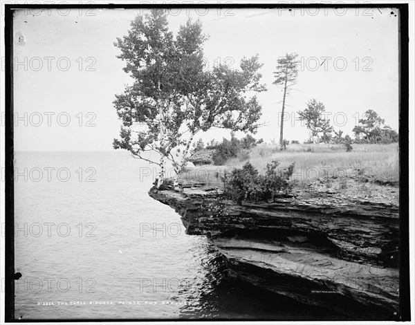 The Three birches, Pointe aux Barques, between 1890 and 1901. Creator: Unknown.