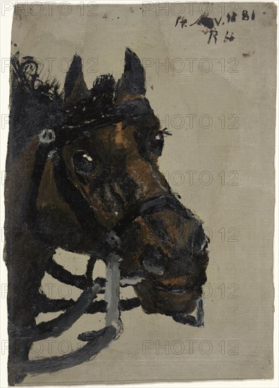 Head of a horse, 1881. Creator: Richard Roland Holst.