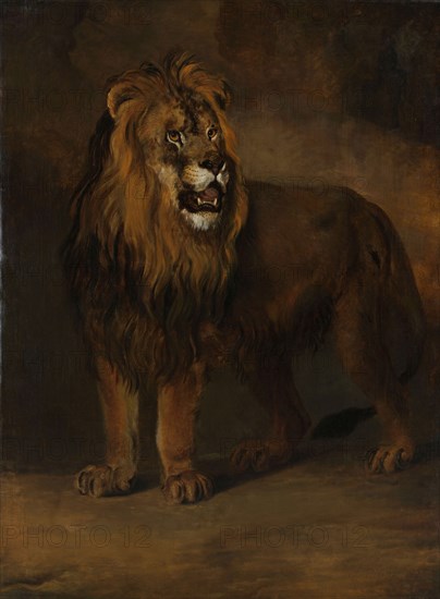 A Lion from the Menagerie of King Louis Napoleon, 1808, 1808. Creator: Pieter Gerardus van Os.