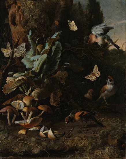 Animals and Plants, c.1668. Creator: Melchior d'Hondecoeter.