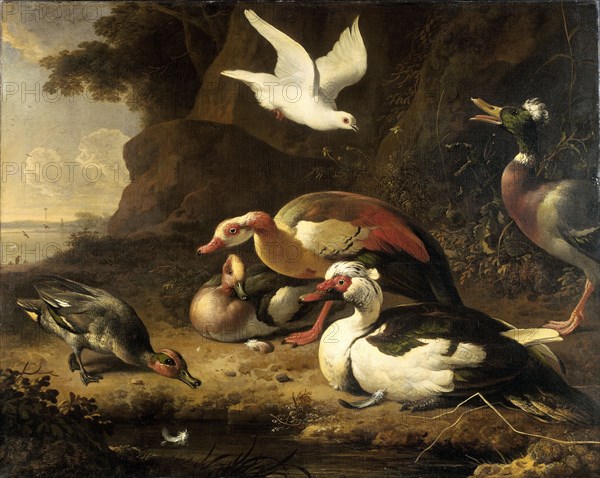 Ducks, c.1675-c.1680. Creator: Melchior d'Hondecoeter.