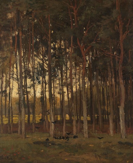 View in the Woods, c.1870-c.1904. Creator: Théophile de Bock.