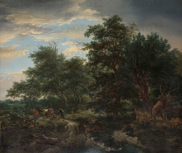 Forest scene, 1653. Creator: Jacob van Ruisdael.