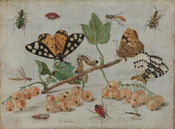 Insects and Fruit, c.1653-c.1661. Creator: Jan van Kessel.