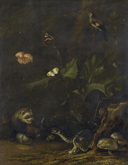 Animals and Plants, 1650-1677. Creator: Anthonie van Borssom.