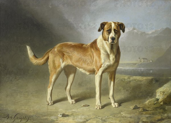 A St Bernard Dog, c.1850-c.1879. Creator: Bernard te Gempt.