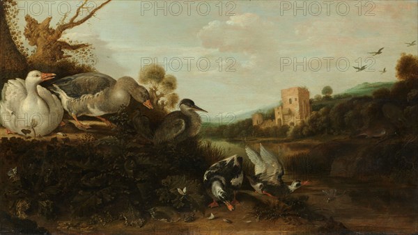 Waterfowl, 1652. Creator: Gysbert Gillisz. de Hondecoeter.