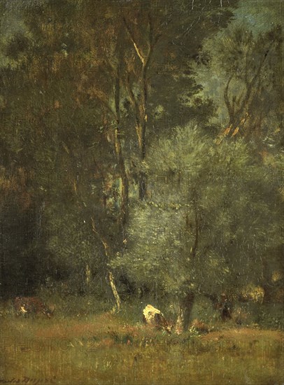 View in the Woods, 1840-1889. Creator: Jules Dupré.