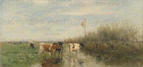 Cows in a Soggy Meadow, 1860-1900. Creator: Willem Maris.