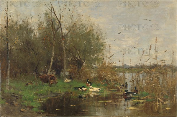 Ducks beside a duck shelter on a ditch, 1884. Creator: George Poggenbeek.