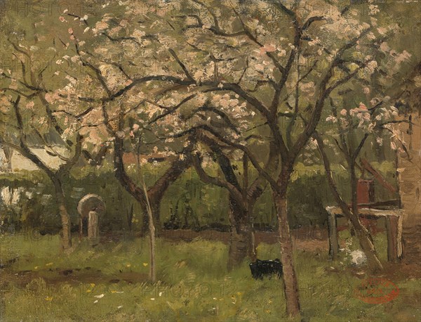 Blossoming Tree in an Orchard, c.1873-c.1903. Creator: George Poggenbeek.