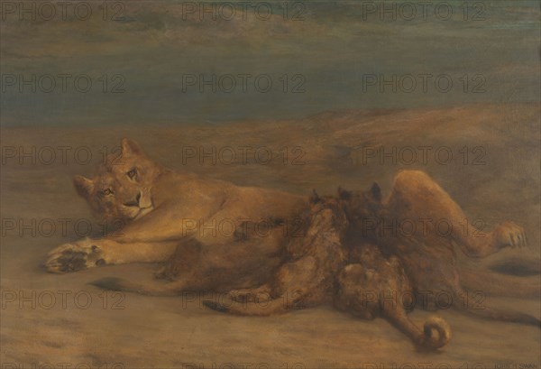 'Mother's Love' - lioness with four nursing cubs, 1870-1904.  Creator: John MacAllan Swan.