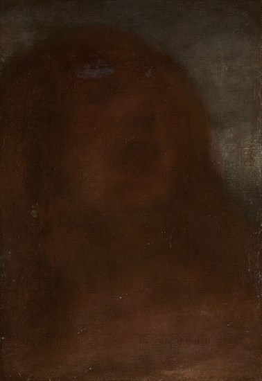 'A fair beauty' - head of a woman, 1870-1912.  Creator: Matthijs Maris.