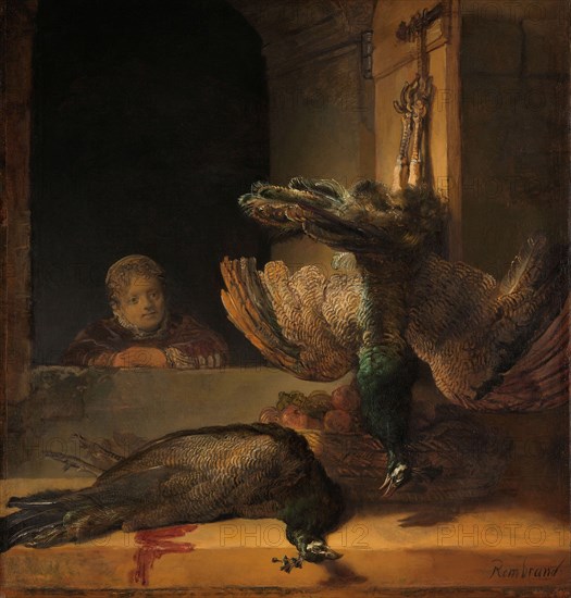 Still Life with Peacocks, c.1639. Creator: Rembrandt Harmensz van Rijn.