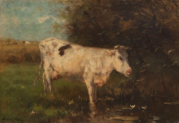 White Cow, c.1880-c.1910. Creator: Willem Maris.