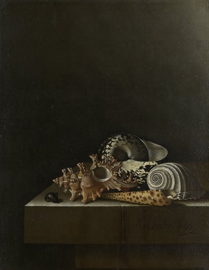 Shells on a Stone Plinth, 1698. Creator: Adriaen Coorte.