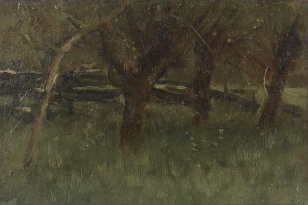 Orchard, 1873-1903.  Creator: George Poggenbeek.