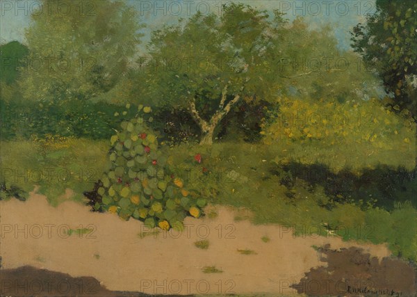 Corner of a Garden with Nasturtiums, 1891. Creator: Richard Roland Holst.