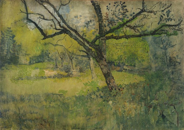 Orchard at Eemnes, 1888-1895. Creator: Richard Roland Holst.
