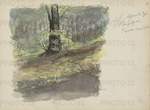 Forest path, 1896. Creator: Christiaan Huidekoper.