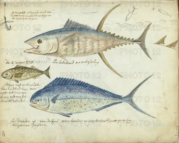 Sea fishing, 1778-1779. Creator: Jan Brandes.