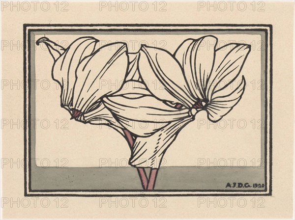 Cyclamen, 1920. Creator: Julie de Graag.