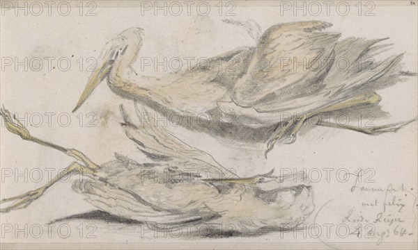 Dead Heron, 1864. Creator: Johannes Tavenraat.