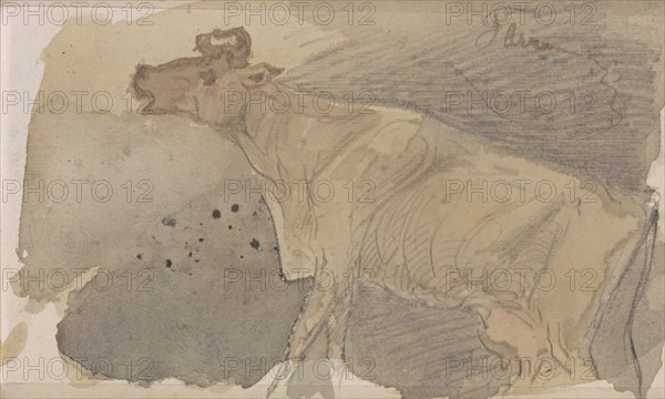 Cow, 1864-1880. Creator: Johannes Tavenraat.