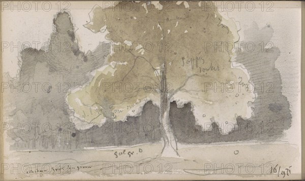 Forest with a field with a tree in the foreground, 1871. Creator: Johannes Tavenraat.