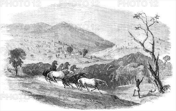 Sketches in Western Australia - Culham, in the Upper Valley of the Swan, 1857. Creator: Unknown.