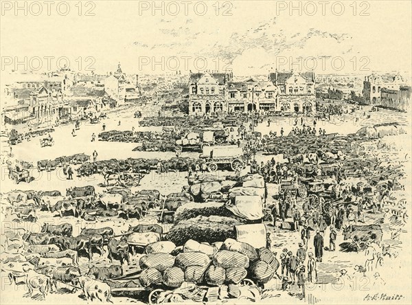 'Morning Market, Johannesburg', c1900. Creator: A.E. Huitt.