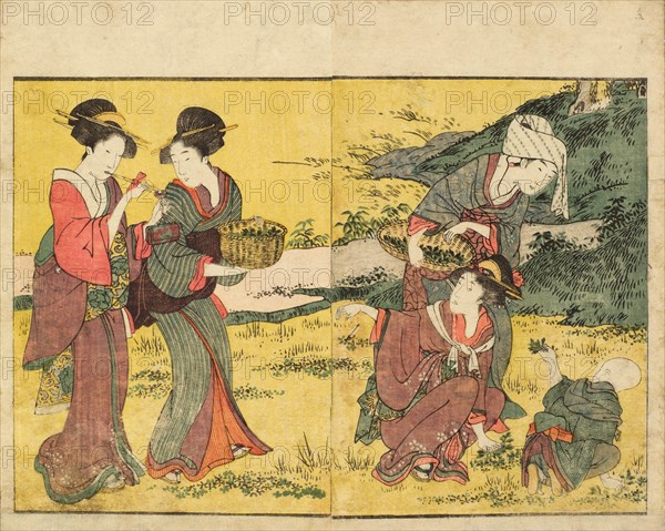 Gathering Spring Herbs. From the Picture Book of Flowers of the Four Seasons (Ehon shiki..., 1801. Creator: Utamaro, Kitagawa (1753-1806).