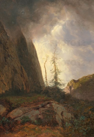 Wettertanne. Creator: Calame, Alexandre (1810-1864).