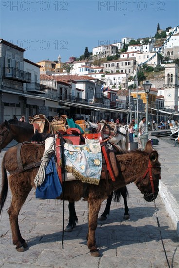 Hydra, Greece, 2003. Creator: Ethel Davies.