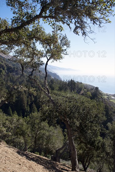 Big Sur, California, USA, 2022. Creator: Ethel Davies.