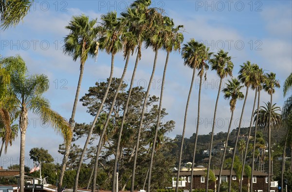 La Jolla, California, USA, 2022. Creator: Ethel Davies.