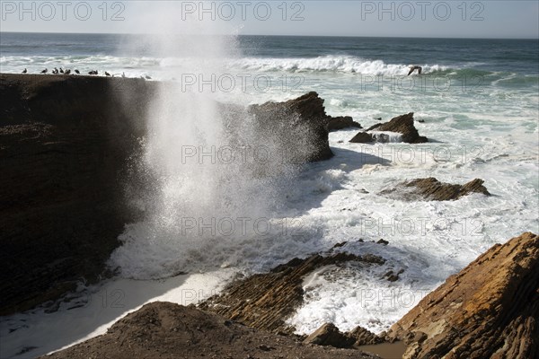 Montana de Oro, San Luis Obispo, California, USA, 2022. Creator: Ethel Davies.