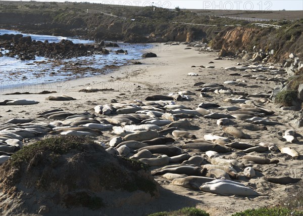 San Simeon, California, USA, 2022. Creator: Ethel Davies.