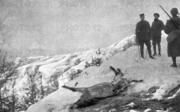 'La campagne d'hiver en Orient; Victime de la route: un ane mort d'epuisement, a demi..., 1917. Creator: Unknown.