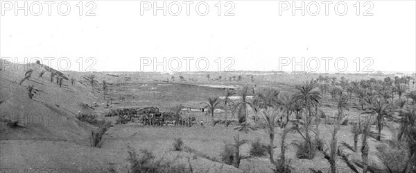 Distant Fronts, In Palestine; Camp in an oasis in the Sinai desert, 1917. Creator: Unknown.