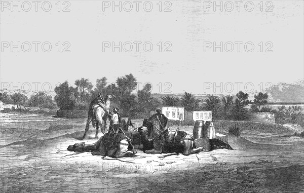 'Fountain of Moses, near Suez; The Red Sea', 1875. Creator: Unknown.