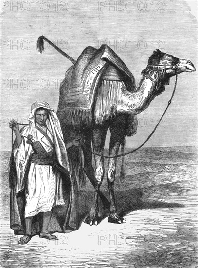 'Camel Driver; The Red Sea', 1875. Creator: Unknown.
