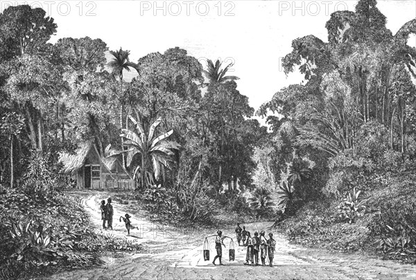 ''View in the suburbs of Batavia; from Sydney to Singapore', 1875. Creator: Unknown.