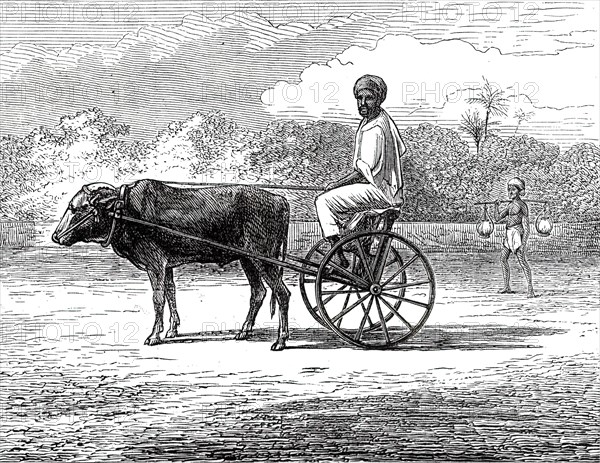 Ramasawmy going to Bazaar, Madras, 1876. Creator: Unknown.