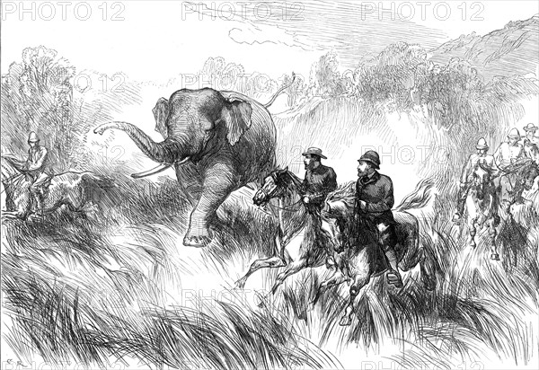 The Prince of Wales in the Terai: Mr. Rose chased by a Wild Elephant...1876. Creator: C.R..