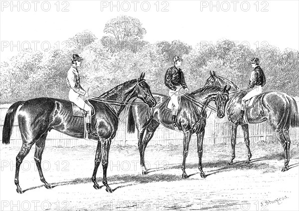 Kisber (Winner of the Derby); Enguerrande and Camelia (Runners of the Dead-Heat for the Oaks), 1876. Creator: Unknown.