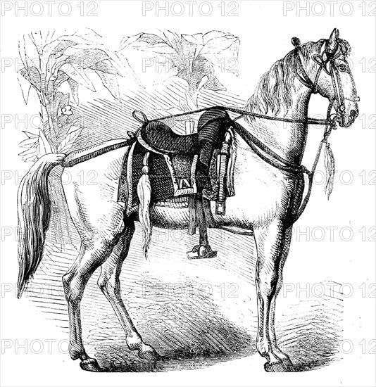 Sketches of Native Life in India - Sikh Horse, 1858. Creator: Unknown.