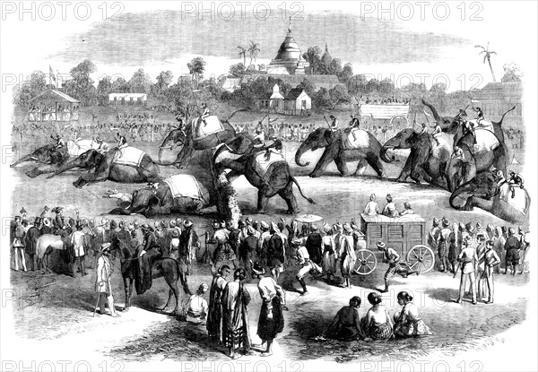 Elephant Steeplechase at Rangoon, 1858. Creator: Unknown.