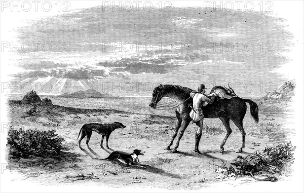 Antelope-Hunting in India - Preparing to Return, 1858. Creator: Unknown.